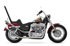 2009-Harley-Davidson-Sportster-883LowXL883La-Gimp-no handlebar-05.jpg